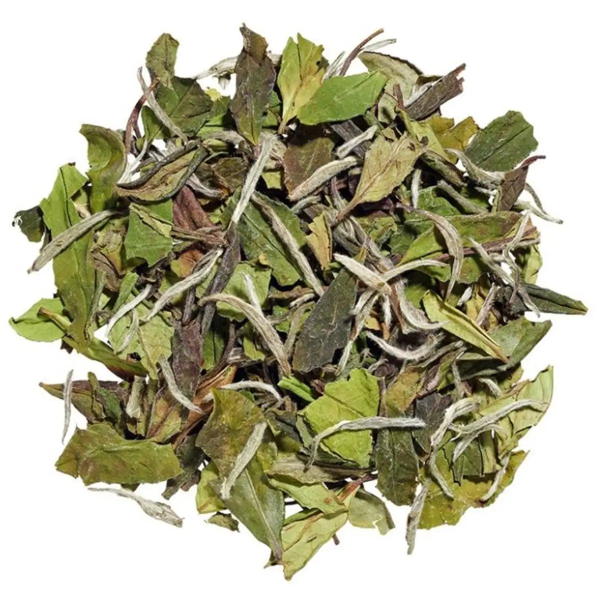 Pai Mu Tan (White Peony)